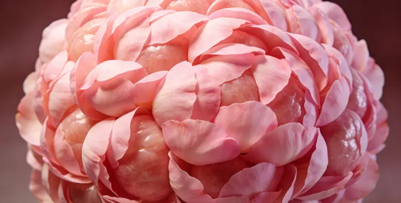 惠州乳腺癌21基因mRNA表达分析检测图1